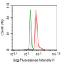 Human THP1 cell line was fixed with 2% paraformaldehyde