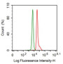 Human THP1 cell line was fixed with 2% paraformaldehyde