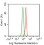 Human HepG2 cell line was fixed with 2% paraformaldehyde