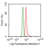 Human SiHa cell line was fixed with 1% paraformaldehyde