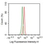 Human HepG2 cell line was fixed with 2% paraformaldehyde