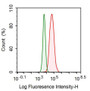Human MCF7 cell line was fixed with 2% paraformaldehyde