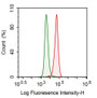 Human A549 cell line was fixed with 2% paraformaldehyde