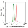 Human A549 cell line was fixed with 2% paraformaldehyde