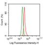 Human K562 cell line was fixed with 2% paraformaldehyde