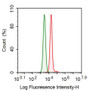 Human A549 cell line was fixed with 2% paraformaldehyde