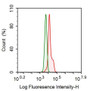 Human HepG2 cell line was fixed with 2% paraformaldehyde