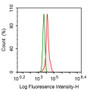 Human HepG2 cell line was fixed with 2% paraformaldehyde