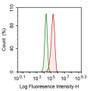 Human MCF7 cell line was fixed with 2% paraformaldehyde