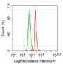 Human Jurkat cell line was fixed with 2% paraformaldehyde