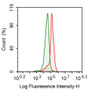Mouse Hepa1-6 cell line was fixed with 2% paraformaldehyde