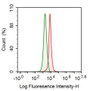Human SH-SY5Y cell line was fixed with 2% paraformaldehyde