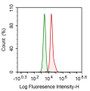 Human Hela cell line was fixed with 2% paraformaldehyde
