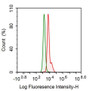 Human THP1 cell line was fixed with 2% paraformaldehyde