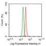 Human HepG2 cell line was fixed with 2% paraformaldehyde