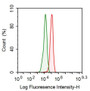 Human HepG2 cell line was fixed with 2% paraformaldehyde