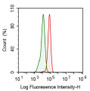 Human HepG2 cell line was fixed with 2% paraformaldehyde