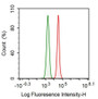 Human THP1 cell line was fixed with 2% paraformaldehyde