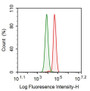 Human K562 cell line was fixed with 2% paraformaldehyde