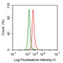 Human U937 cell line was fixed with 2% paraformaldehyde