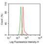 Human K562 cell line was fixed with 2% paraformaldehyde