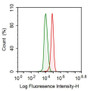 Human HepG2 cell line was fixed with 2% paraformaldehyde