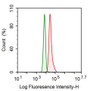 Human A549 cell line was fixed with 2% paraformaldehyde