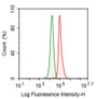 Human HepG2 cell line was fixed with 2% paraformaldehyde