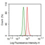 Human HepG2 cell line was fixed with 2% paraformaldehyde