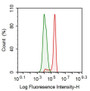 Human HepG2 cell line was fixed with 2% paraformaldehyde