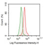 Rat splenocyte cells were fixed with 2% paraformaldehyde