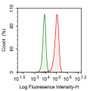 Mouse Hepa1-6 cell line was fixed with 2% paraformaldehyde