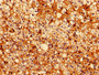 Immunohistochemistry of paraffin-embedded human adrenal gland tissue using CAC11844 at dilution of 1:100