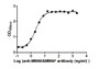 The Binding Activity of Disitamab vedotin (Synonyms: RC48) with Anti-MMAE & MMAF antibody Activity: Measured by its binding ability in a functional ELISA. Immobilized Disitamab vedotin (Synonyms: RC48) at 2 ug/mL can bind Anti-MMAE & MMAF antibody, the EC 50 is 1.908 to 2.492 ng/mL. The Binding Activity of Disitamab vedotin (Synonyms: RC48) with Anti-MMAE & MMAF antibody Activity: Measured by its binding ability in a functional ELISA. Immobilized Disitamab vedotin (Synonyms: RC48) at 2 ug/mL can bind Anti-MMAE & MMAF antibody, the EC 50 is 1.908 to 2.492 ng/mL.