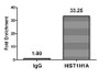 Chromatin Immunoprecipitation Hela (4*10 6 ) were treated with Micrococcal Nuclease, sonicated, and immunoprecipitated with 8ug anti-HIST1H1A (CAC13063) or a control normal rabbit IgG. The resulting ChIP DNA was quantified using real-time PCR with primers against the β-Globin promoter.