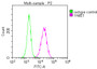 Overlay Peak curve showing HepG2 cells stained with CAC13709 (red line) at 1:100. The cells were incubated in 10% normal goat serum to block non-specific protein-protein interactions followed by the antibody (1ug/1*106cells) for 1h at 4°C. The secondary antibody used was FITC-conjugated Goat Anti-Mouse IgG(H+L) at 1/100 dilution for 30min at 4°C. Isotype control antibody (green line) was mouse IgG1 (1ug/1*106cells) used under the same conditions. Acquisition of >10,000 events was performed.