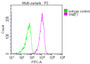 Overlay Peak curve showing 293T cells stained with CAC13709 (red line) at 1:100. The cells were incubated in 10% normal goat serum to block non-specific protein-protein interactions followed by the antibody (1ug/1*106cells) for 1h at 4°C. The secondary antibody used was FITC-conjugated Goat Anti-Mouse IgG(H+L) at 1/100 dilution for 30min at 4°C. Isotype control antibody (green line) was mouse IgG1 (1ug/1*106cells) used under the same conditions. Acquisition of >10,000 events was performed.