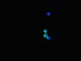 Immunofluorescent analysis of Hela cells using CAC14598 at dilution of 1:100 and Alexa Fluor 488-congugated AffiniPure Goat Anti-Rabbit IgG(H+L)