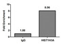 Chromatin Immunoprecipitation Hela (4*10 6 ) were treated with Micrococcal Nuclease, sonicated, and immunoprecipitated with 8ug anti-HIST1H3A (CAC15212) or a control normal rabbit IgG. The resulting ChIP DNA was quantified using real-time PCR with primers against the β-Globin promoter.