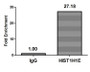 Chromatin Immunoprecipitation Hela (4*10 6 ) were treated with Micrococcal Nuclease, sonicated, and immunoprecipitated with 5ug anti-HIST1H1E (CAC15236) or a control normal rabbit IgG. The resulting ChIP DNA was quantified using real-time PCR with primers against the β-Globin promoter. Chromatin Immunoprecipitation Hela (4*10 6 ) were treated with Micrococcal Nuclease, sonicated, and immunoprecipitated with 5ug anti-HIST1H1E (CAC15236) or a control normal rabbit IgG. The resulting ChIP DNA was quantified using real-time PCR with primers against the β-Globin promoter.