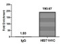 Chromatin Immunoprecipitation Hela (4*10 6 ) were treated with Micrococcal Nuclease, sonicated, and immunoprecipitated with 8ug anti-HIST1H1C (CAC15257) or a control normal rabbit IgG. The resulting ChIP DNA was quantified using real-time PCR with primers against the β-Globin promoter. Chromatin Immunoprecipitation Hela (4*10 6 ) were treated with Micrococcal Nuclease, sonicated, and immunoprecipitated with 8ug anti-HIST1H1C (CAC15257) or a control normal rabbit IgG. The resulting ChIP DNA was quantified using real-time PCR with primers against the β-Globin promoter.