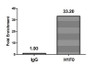 Chromatin Immunoprecipitation Hela (4*10 6 ) were treated with Micrococcal Nuclease, sonicated, and immunoprecipitated with 5ug anti-H1F0 (CAC15287) or a control normal rabbit IgG. The resulting ChIP DNA was quantified using real-time PCR with primers against the β-Globin promoter.
