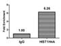 Chromatin Immunoprecipitation Hela (4*10 6 ) were treated with Micrococcal Nuclease, sonicated, and immunoprecipitated with 5ug anti-HIST1H4A (CAC15401) or a control normal rabbit IgG. The resulting ChIP DNA was quantified using real-time PCR with primers against the β-Globin promoter.