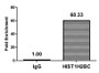 Chromatin Immunoprecipitation Hela (4*10 6 , treated with 30mM sodium crotonylate for 4h) were treated with Micrococcal Nuclease, sonicated, and immunoprecipitated with 5ug anti-HIST1H2BC (CAC15482) or a control normal rabbit IgG. The resulting ChIP DNA was quantified using real-time PCR with primers against the β-Globin promoter.