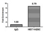 Chromatin Immunoprecipitation Hela (4*10 6 ) were treated with Micrococcal Nuclease, sonicated, and immunoprecipitated with 5ug anti-HIST1H2BC (CAC15550) or a control normal rabbit IgG. The resulting ChIP DNA was quantified using real-time PCR with primers against the β-Globin promoter.