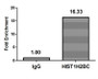 Chromatin Immunoprecipitation Hela (10 6 , treated with 30mM sodium crotonylate for 4h) were treated with Micrococcal Nuclease, sonicated, and immunoprecipitated with 5ug anti-HIST1H2BC (CAC15564) or a control normal rabbit IgG. The resulting ChIP DNA was quantified using real-time PCR with primers against the β-Globin promoter.