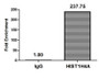 Chromatin Immunoprecipitation Hela (4*10 6 ) were treated with Benzanase, sonicated, and immunoprecipitated with 5ug anti-HIST1H4A (CAC15634) or a control normal rabbit IgG. The resulting ChIP DNA was quantified using real-time PCR with primers against the β-Globin promoter.