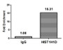 Chromatin Immunoprecipitation Hela (4*10 6 ) were treated with Micrococcal Nuclease, sonicated, and immunoprecipitated with 5ug anti-HIST1H1D (CAC15638) or a control normal rabbit IgG. The resulting ChIP DNA was quantified using real-time PCR with primers against the β-Globin promoter.