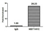 Chromatin Immunoprecipitation Hela (10 6 , treated with 30mM sodium butyrate for 4h) were treated with Micrococcal Nuclease, sonicated, and immunoprecipitated with 5ug anti-HIST1H1C (CAC15673) or a control normal rabbit IgG. The resulting ChIP DNA was quantified using real-time PCR with primers against the β-Globin promoter.