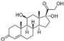 BSA Conjugated Cortisol (Cor), RPU50085